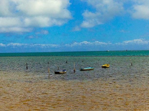 Kaneohe Bay Sandbar Activities You Shouldn’t Miss