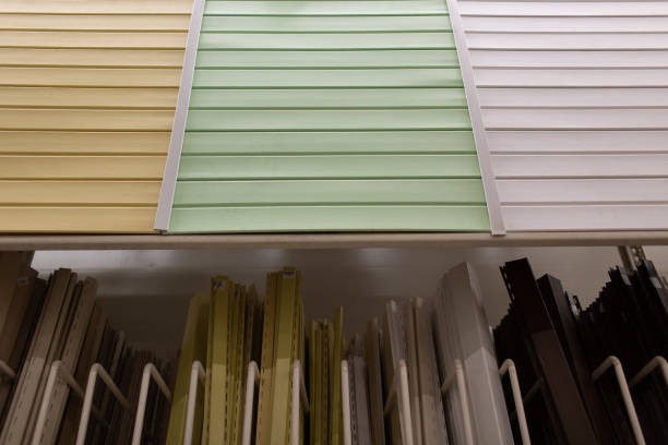 The Timeless Debate: Vinyl Siding’s Place in Modern Homes