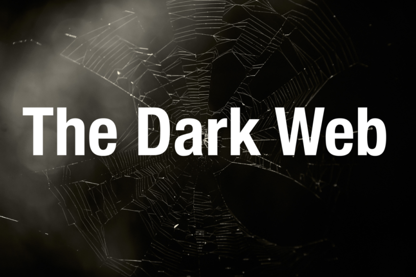 Examine Darkweb Traffic Reports for Anonymous Network Research