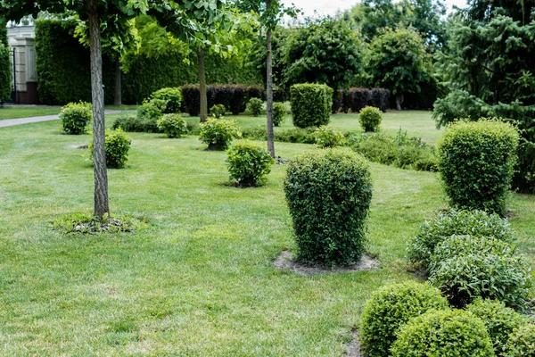 Custom Landscape Design Services That Bring Your Vision to Life