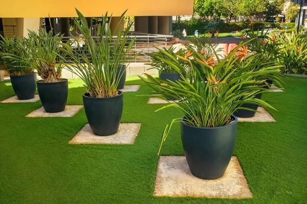 Exploring the Healing Power of Garden Design